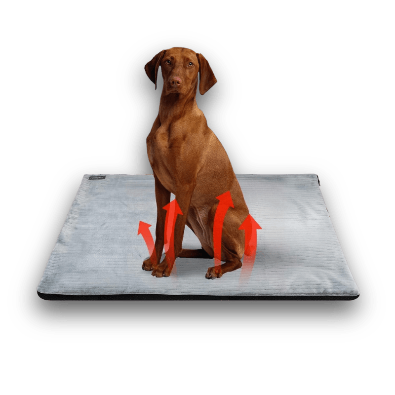 Coussin | Lit Chauffant pour Chien 42x35CM