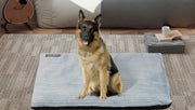 Coussin | Lit Chauffant pour Chien