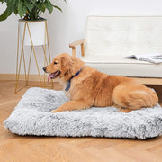 Coussin | Lit Fluffy Chien