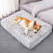 Coussin | Lit Fluffy Chien