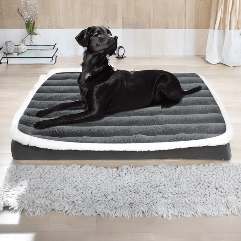 Coussin | Lit pour Chien Doux 