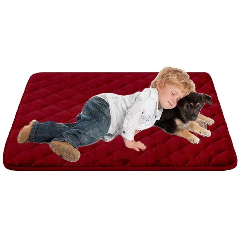 Coussin | Matelas pour Chien  Rouge / XS 55x33 cm