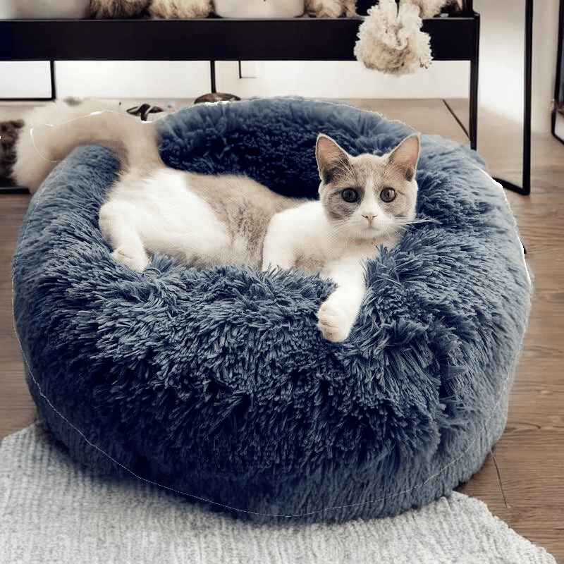 Coussin | Pouf pour Chat 