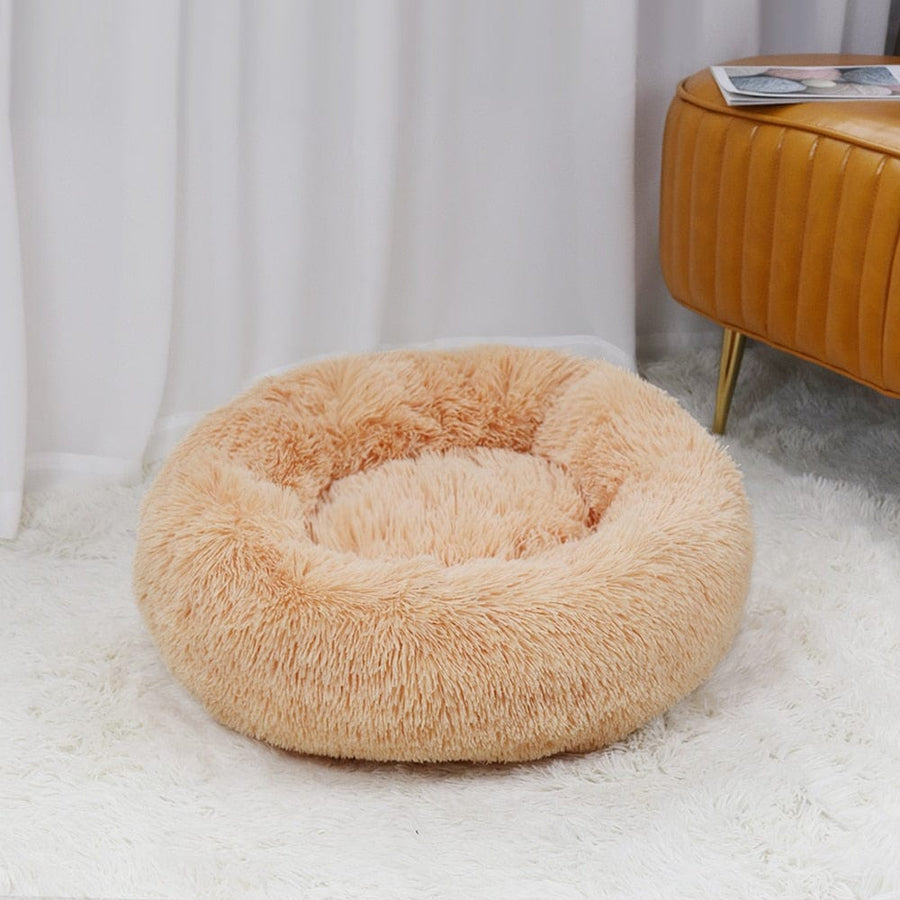 Coussin | Pouf pour Chats